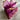 2 Dry Fruit Assortments in a Wine Box